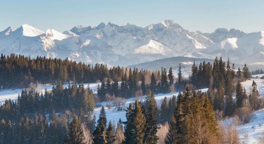 Malgosia Regionalna - 10 Minut Na Piechote Do Stoku Narciarskiego I Term Bania - Posilki Serwowane W Budynku Obok Бялка-Татшаньска Экстерьер фото